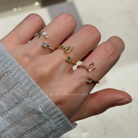 FRIENDSHIP Initial Rings